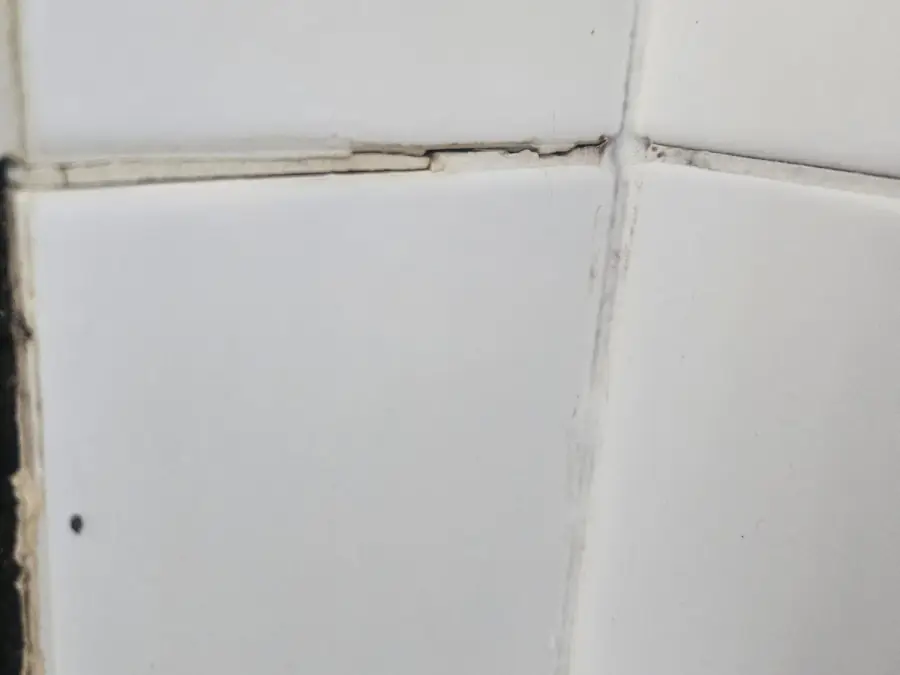 Close-up of a lifted bathroom tile and a cracked grout joint