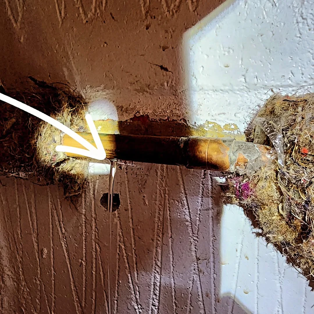 Mains water leak detection evidence in North London