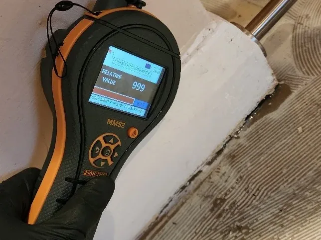 Moisture meter used to assess damp and water damage