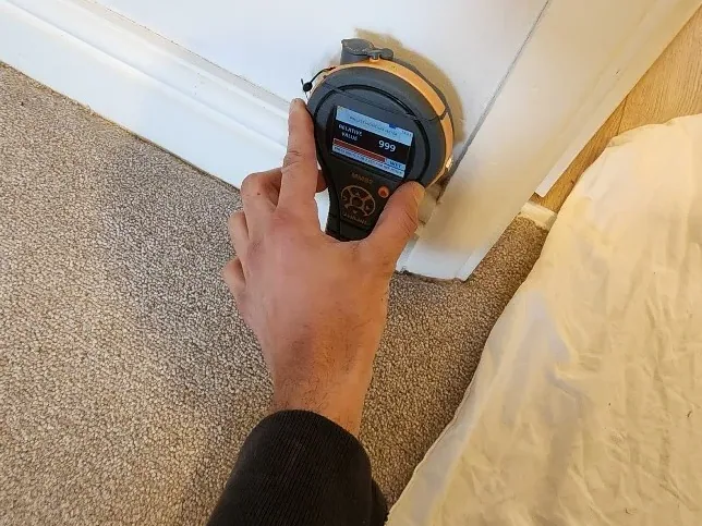 Moisture meter used to map damp readings during damp investigation