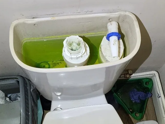 Dye testing used to trace water movement during leak detection
